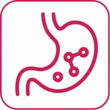 Gut support